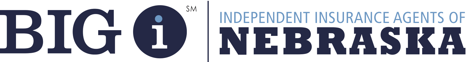 Big I logo-horizontal